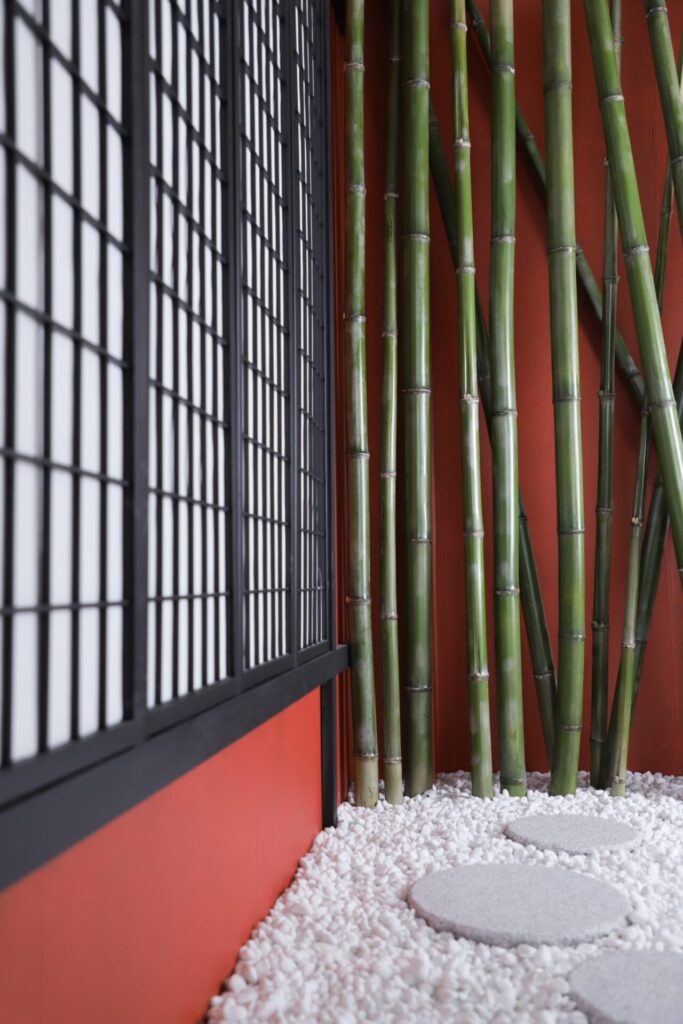 奈良市・生駒市・精華町の成人式_押熊店背景